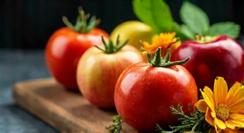 Perspektiven zu saisonaler Ernährung sind vielfältig.